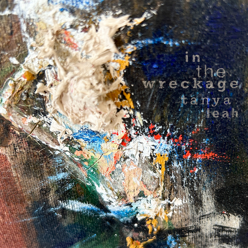 in the wreckage - tanya leah sm